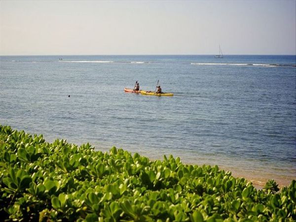 Lahaina One Bedroom Vacation Condo Sleeps 4 Walk To Beach