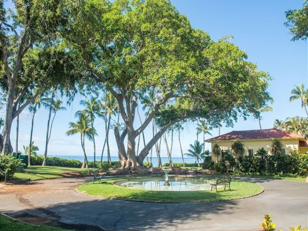 Lahaina Home 967542