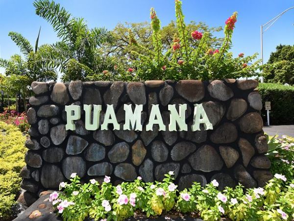 Lahaina Home 967542