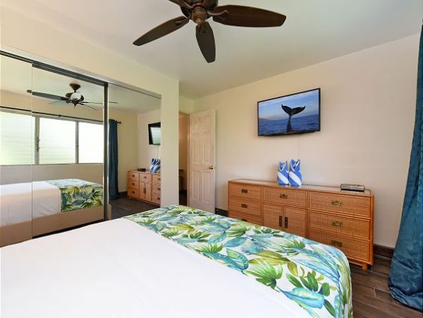Wailea Condo 967543
