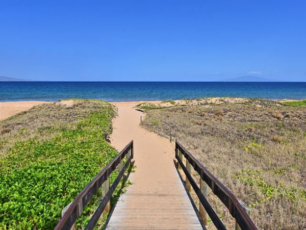 Wailea Condo 967543