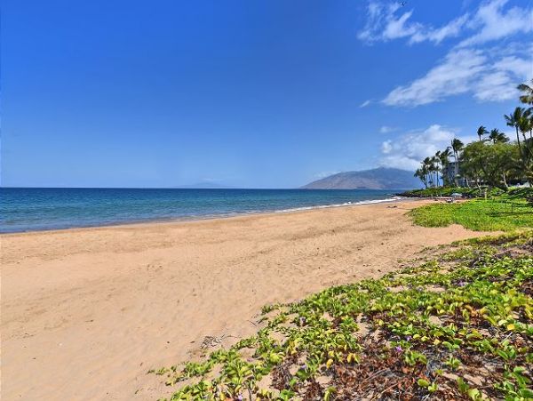 Wailea Condo 967543