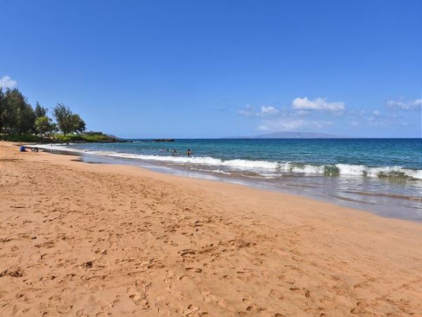 Wailea Condo 967543