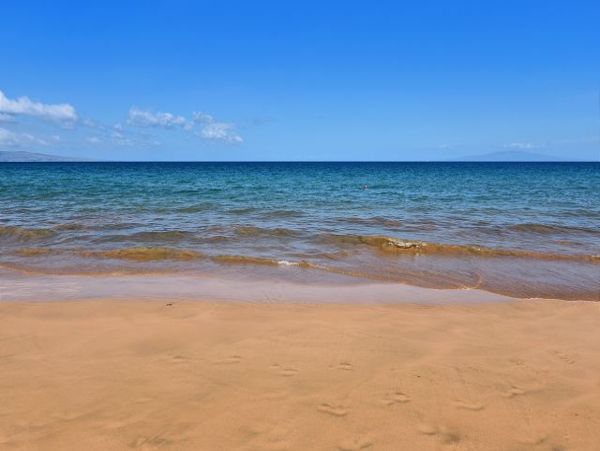 Wailea Condo 967543