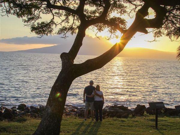 Wailea Condo 967543