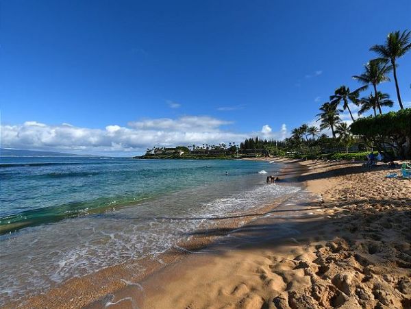 Kaanapali Condo 967545
