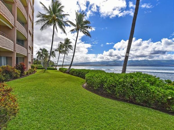Charming Ocean Front Condo in Maui