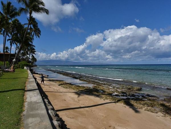 Kaanapali Condo 967549