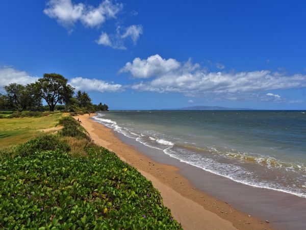 Two Bedroom Oceanfront Condo in Maui Sleeps Six Guests