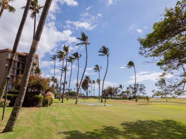 Two Bedroom Oceanfront Condo in Maui Sleeps Six Guests