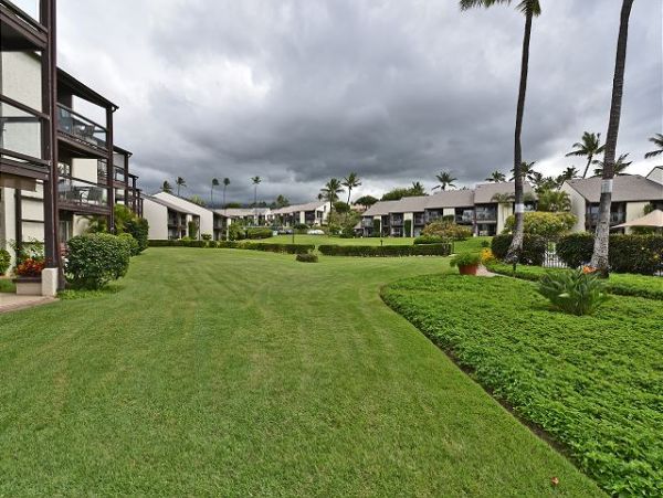 Wailea Condo 967551
