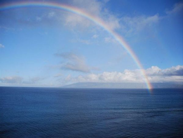 Kihei Condo 967553