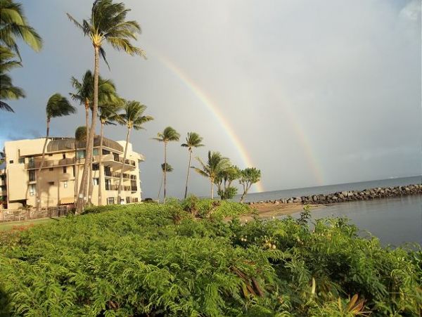 Kihei Condo 967553