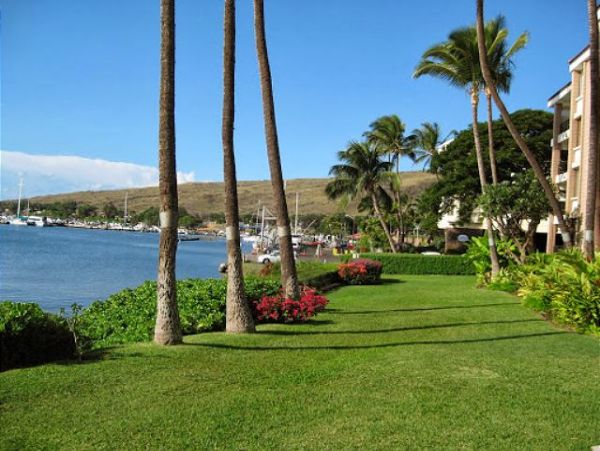 Kihei Condo 967553