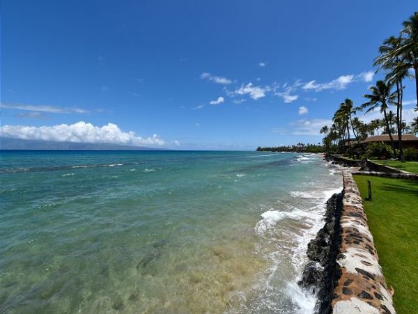 Kaanapali Condo 967557