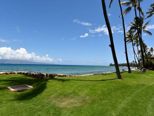 Kaanapali Condo 967557