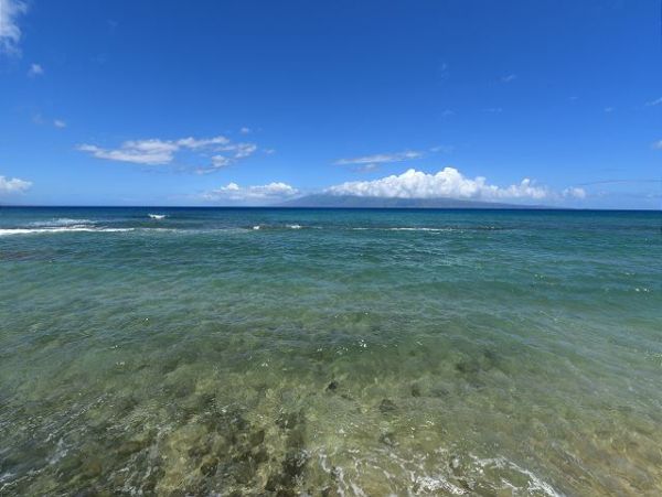 Kaanapali Condo 967557