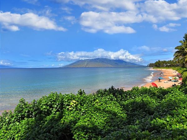 Wailea Condo 967562