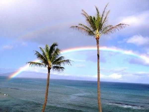Kaanapali Condo 967563