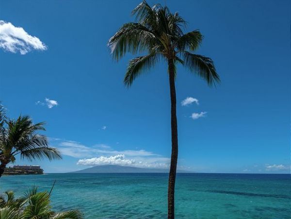 Kaanapali Condo 967563