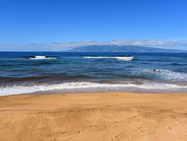 Kaanapali Condo 967566