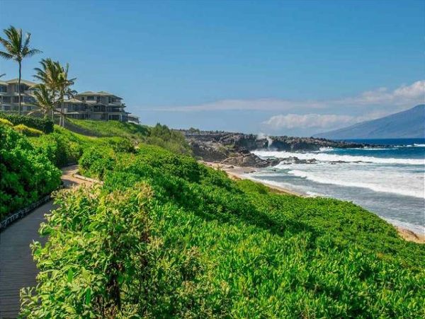 Kapalua Condo 967567