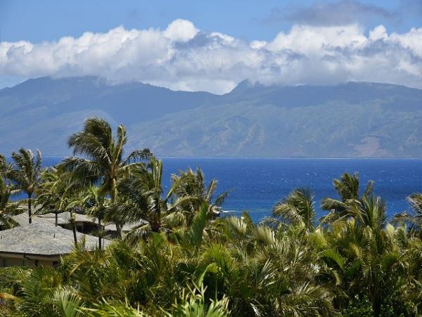 Kapalua Condo 967567