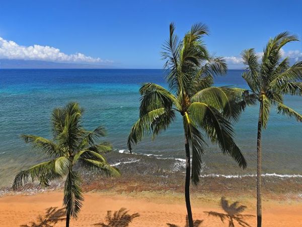 Kaanapali Condo 967569