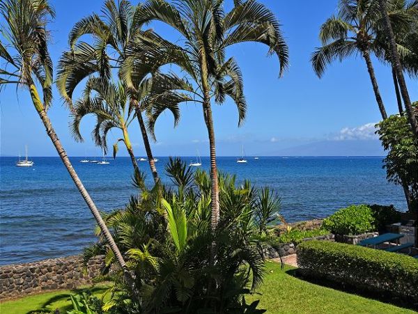 Lahaina One Bedroom Vacation Condo Sleeps 4 Walk To Beach
