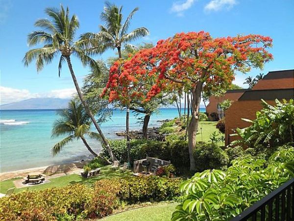 Vacation Rental Beach Condo With Pool In Kahana Ocean Views