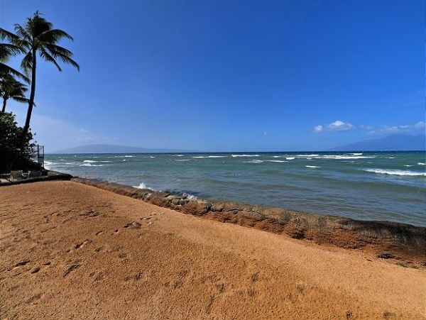 Kahana Condo 967577