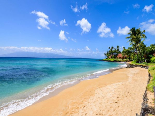 Beachfront Vacation Rental 2 Bedrooms & Ocean Views