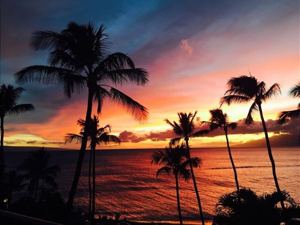 Beachfront Vacation Rental 2 Bedrooms & Ocean Views