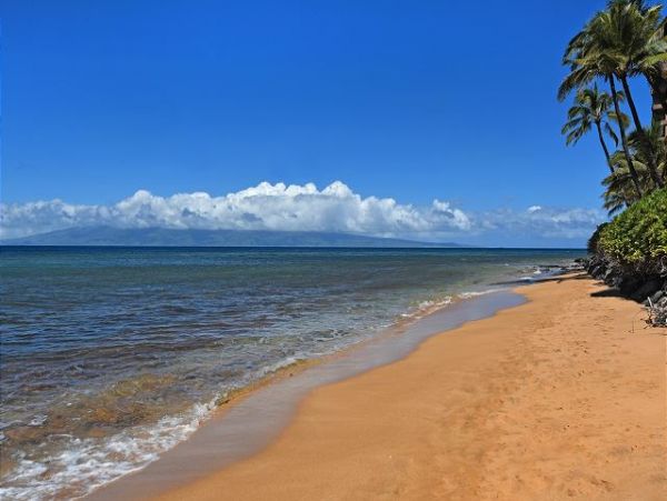 Kaanapali Condo 967585