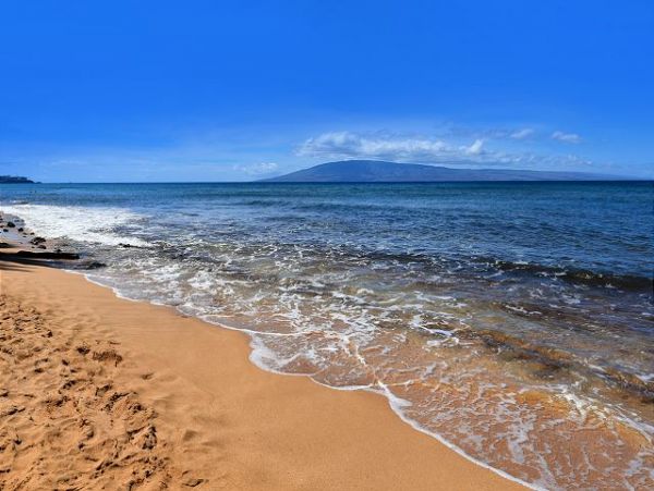 Kaanapali Condo 967585