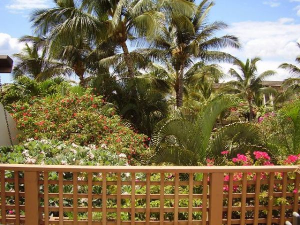 Wailea Home 967602
