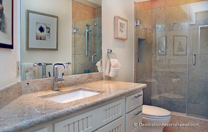 Wailea Condo 967607