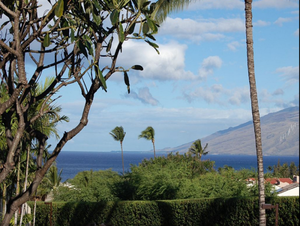 Wailea Condo 967610