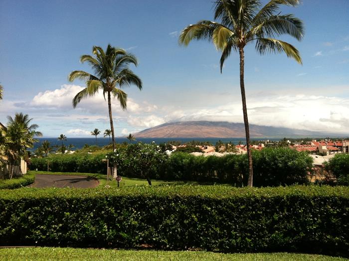 Wailea Condo 967612