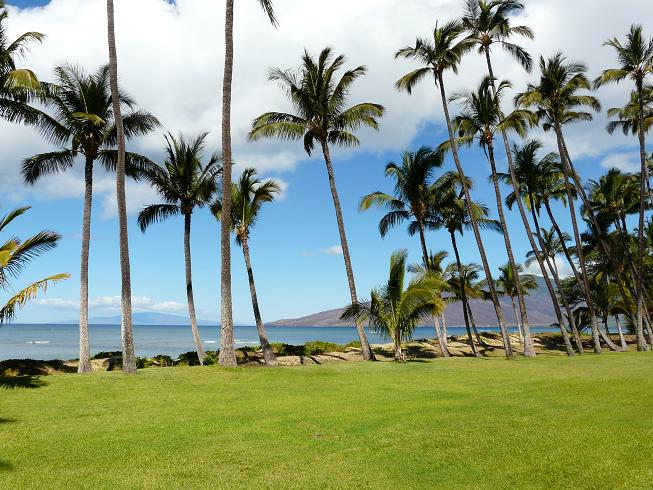 Kihei Condo 967613