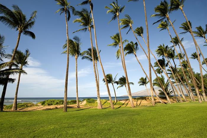 Kihei Condo 967615