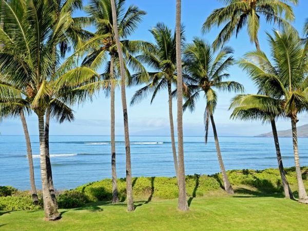 Kihei Condo 967621