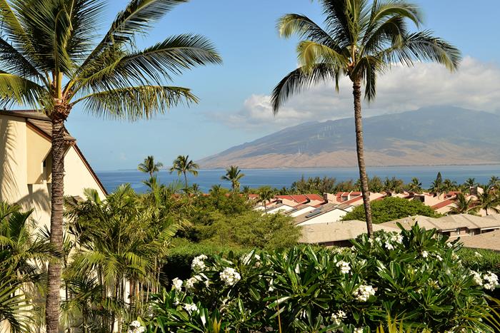 Wailea Condo 967622