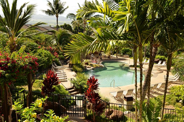 Wailea Condo 967622