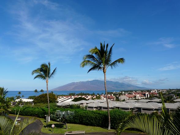 Wailea Condo 967624