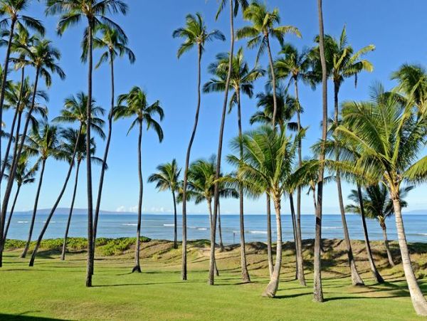 Kihei Condo 967627