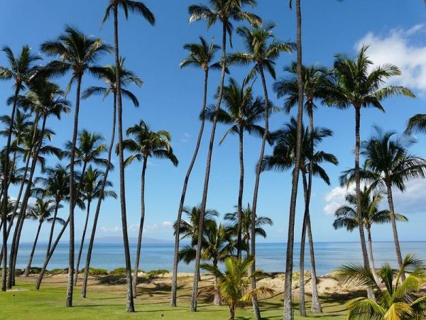 Kihei Condo 967629