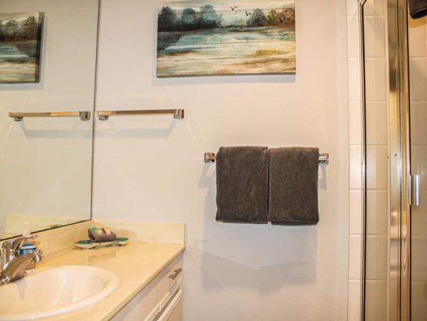 Wailea Condo 967630