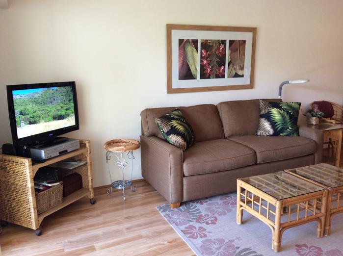 Wailea Condo 967638