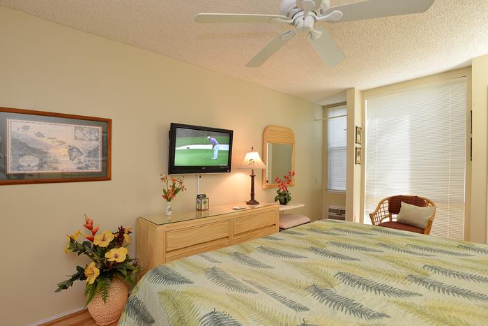 Wailea Condo 967638